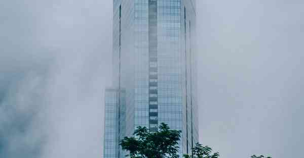 大数据监管的作用（监管大数据应用）