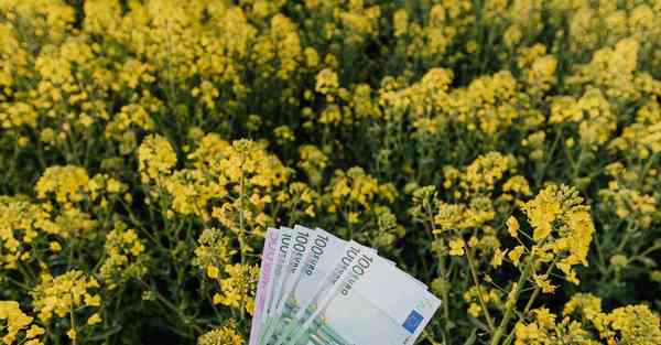 消防大数据分析