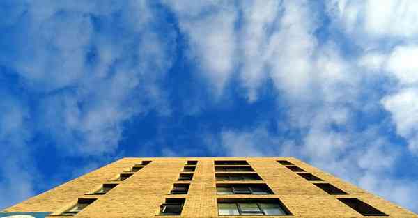 外国语单招大数据的行业文章