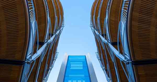 AI藤蔓缠绕效果 AI凹凸立体效果