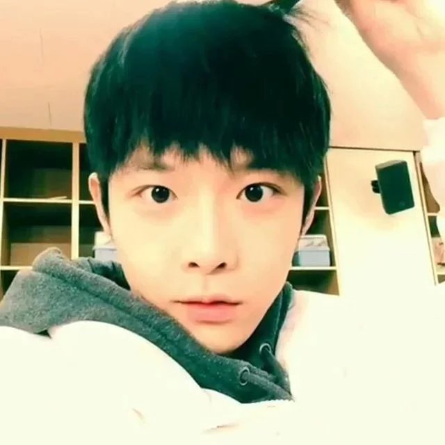 成琛韦贝
