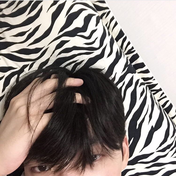 宗政风明霭