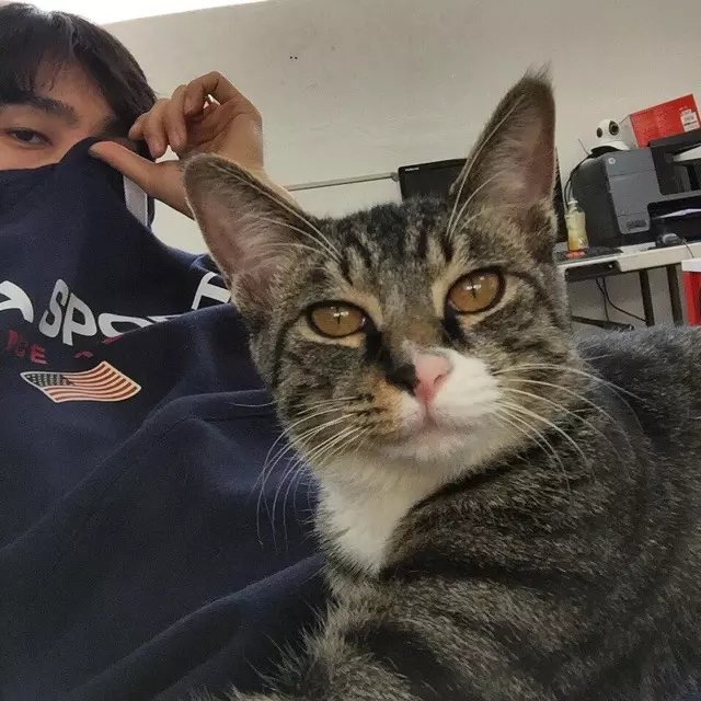 童哲雪莉