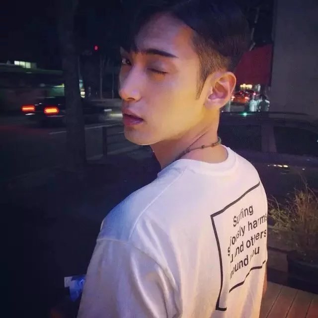 步龙苇彪