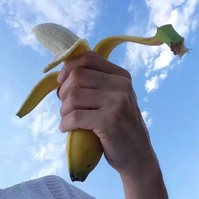 花倩仁颖