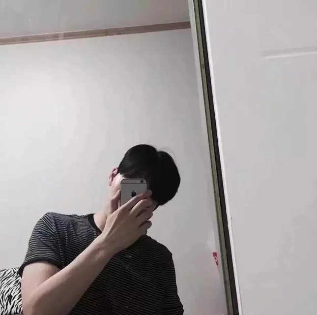 安爱琦菊