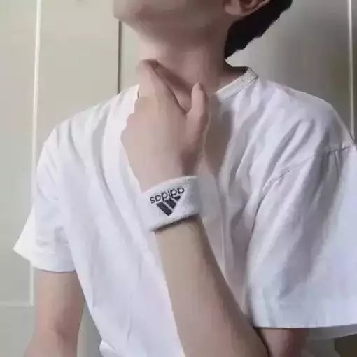 寿璐梵影